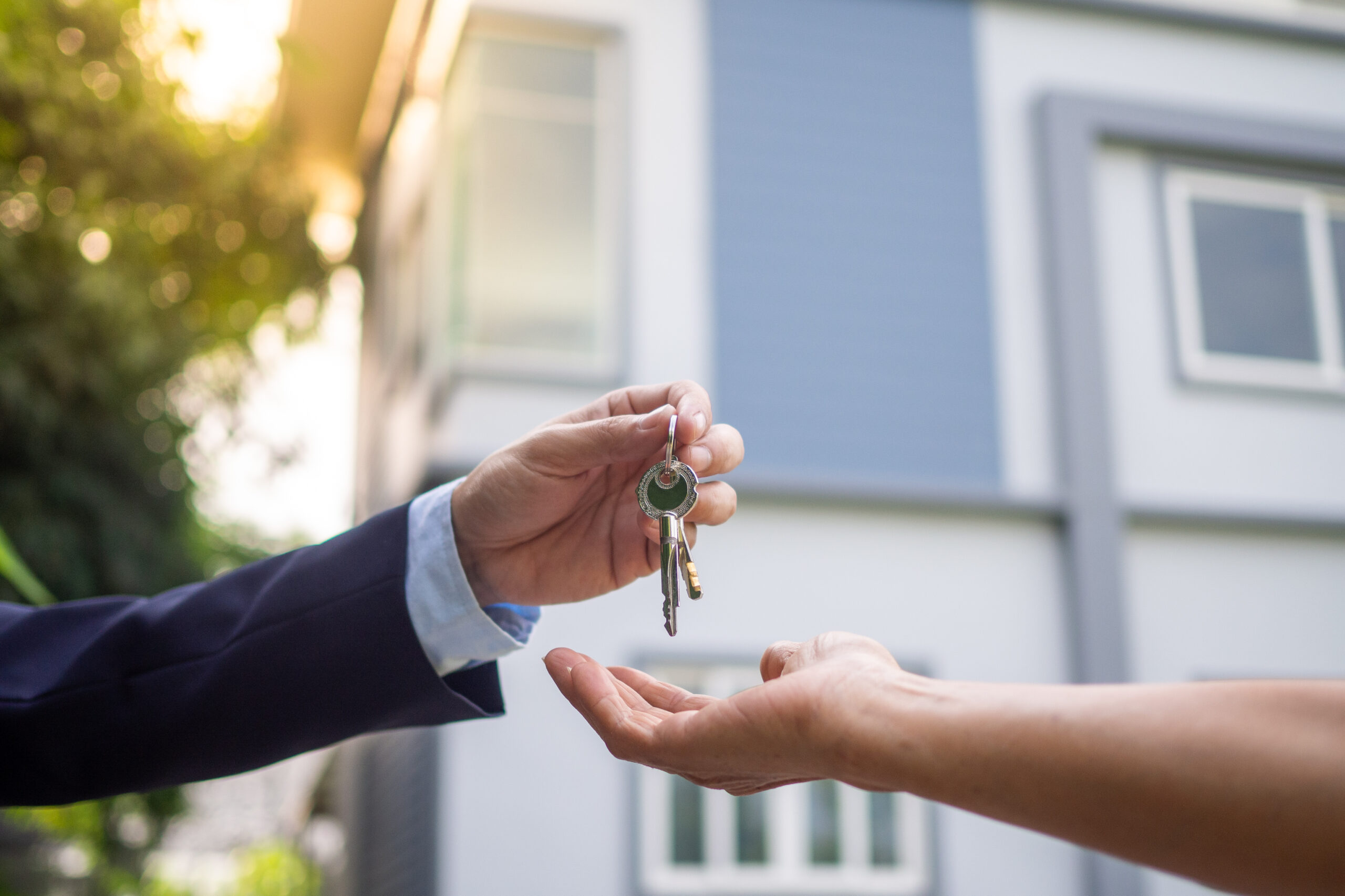 How To Find The Owner Of A Property: 5 Simple Methods