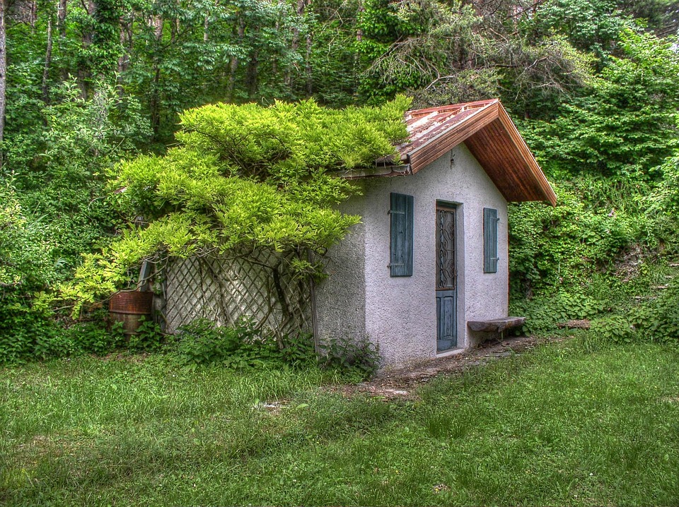 Homes for Sale: Everything You Need to Know Before You Buy