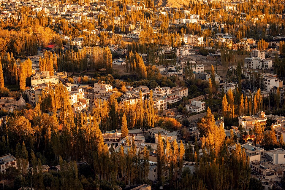 Real Estate Investing 101: Building Wealth Through Property