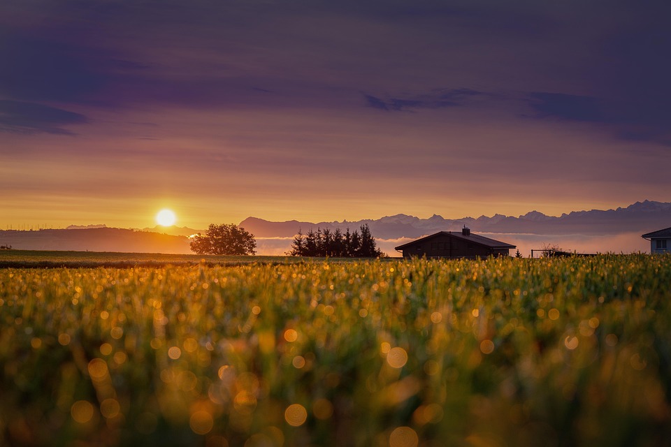 Secrets Your Home Value Estimate Can Reveal