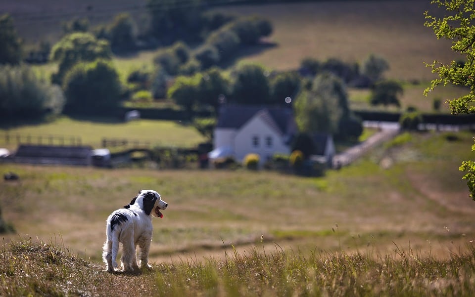 Love Where You Live: Find Your Perfect Home Today