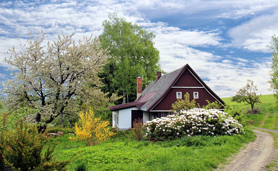 Permits and Plans: Finding Records for Renovations and Construction