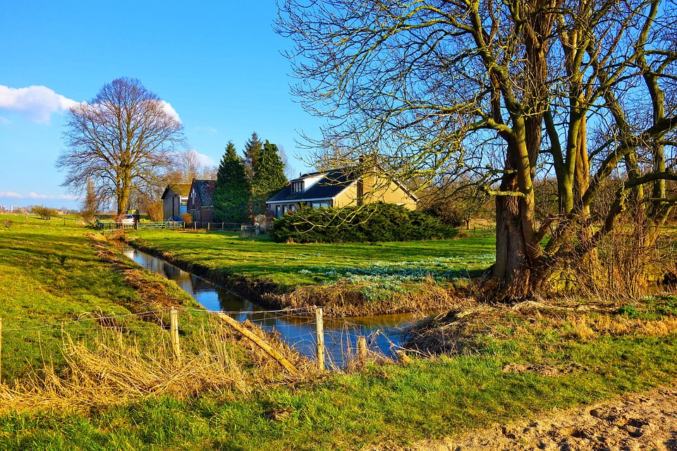 Property Owners' Rights and Responsibilities: What You Need to Know
