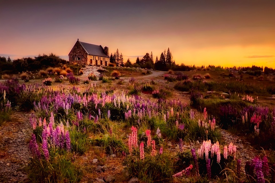 Know Before You Buy: The Essential Guide to Home Record Lookups for Savvy Homebuyers