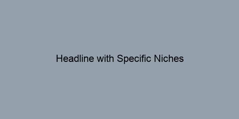 Headline with Specific Niches