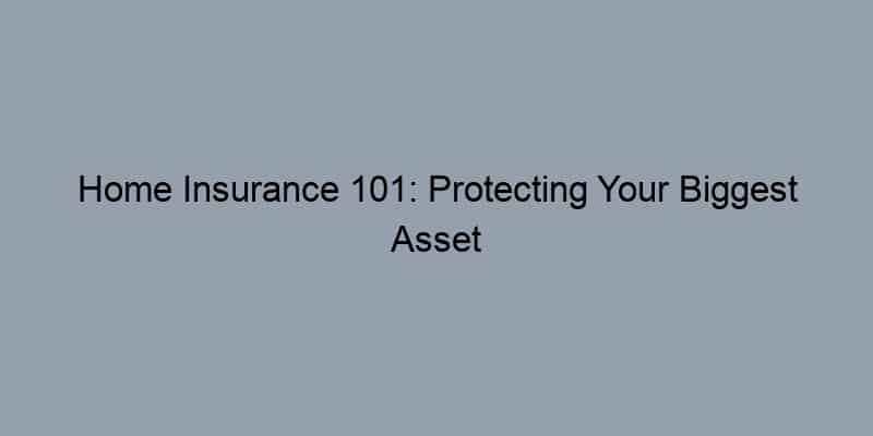 Home Insurance 101: Protecting Your Biggest Asset