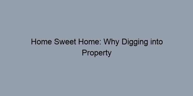 Home Sweet Home: Why Digging into Property Records is Your Key to Informed Buying