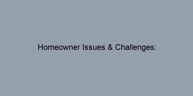 Homeowner Issues & Challenges: