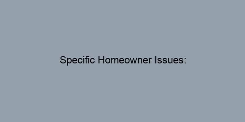 Specific Homeowner Issues: