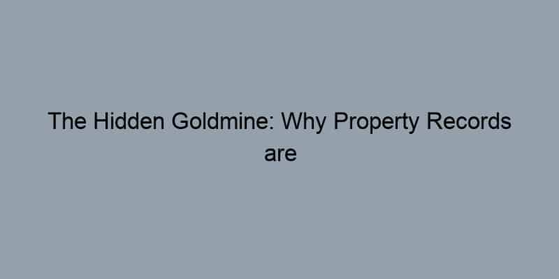 The Hidden Goldmine: Why Property Records are Every Seller’s Best Friend