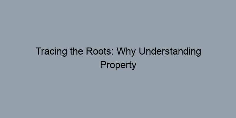 Tracing the Roots: Why Understanding Property Ownership Matters for Investors