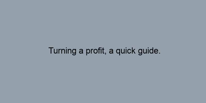 Turning a profit, a quick guide.