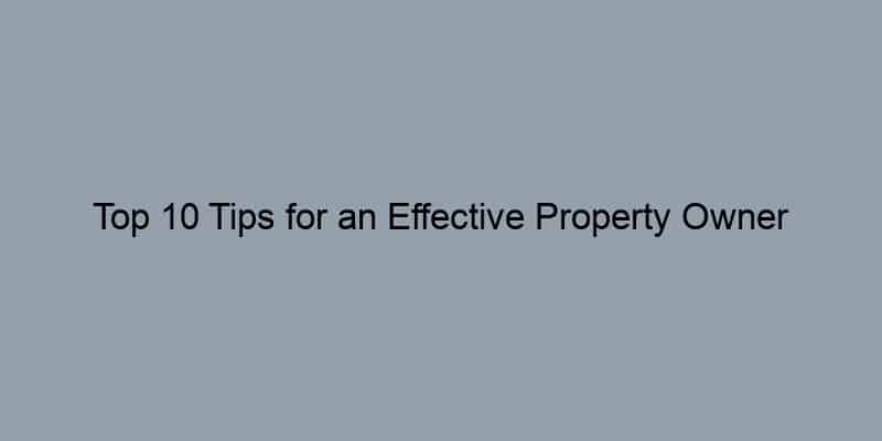 Top 10 Tips for an Effective Property Owner Search Using an Address