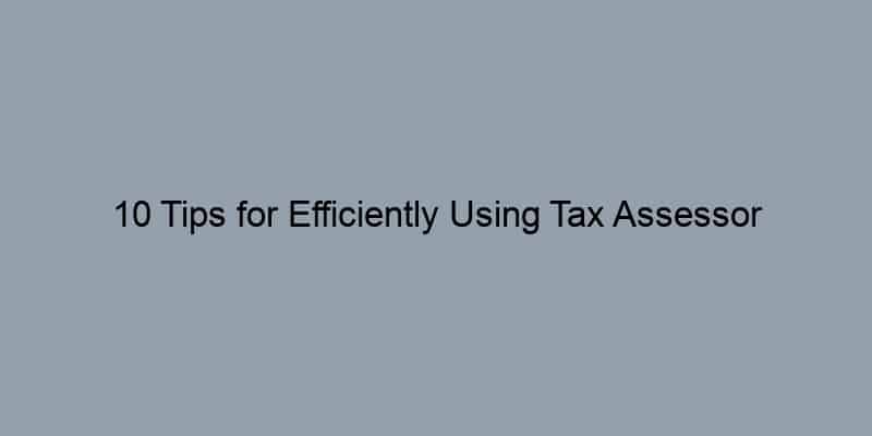 10 Tips for Efficiently Using Tax Assessor Databases for Owner Lookups