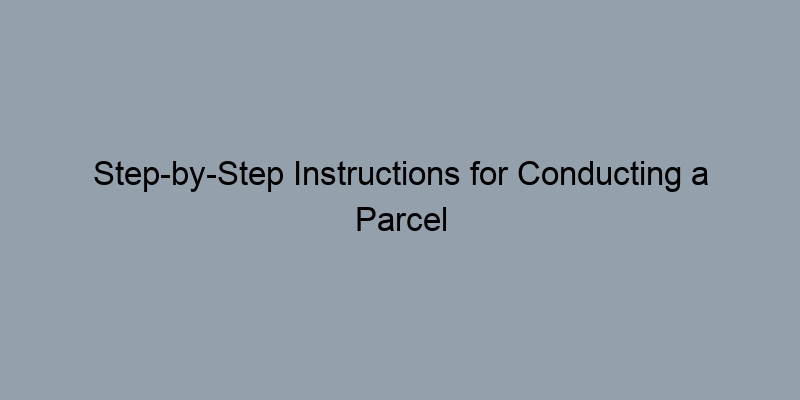 Step-by-Step Instructions for Conducting a Parcel Owner Lookup