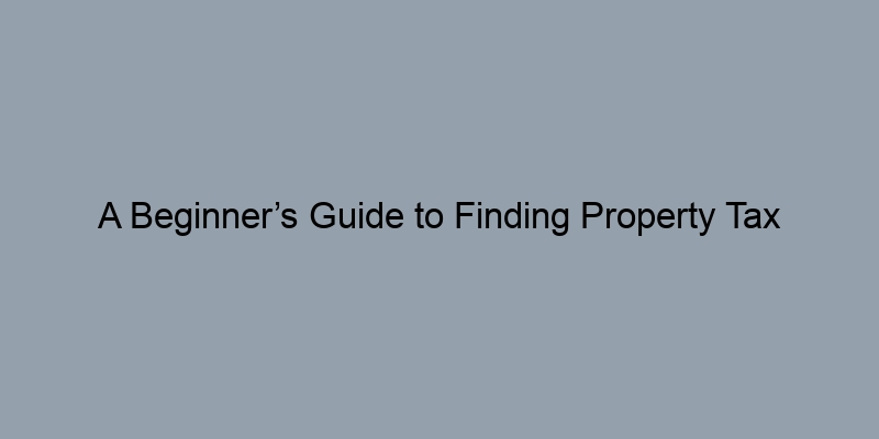 A Beginner’s Guide to Finding Property Tax Records in Your County A Beginner’s Guide to Finding Property Tax Records in Your County