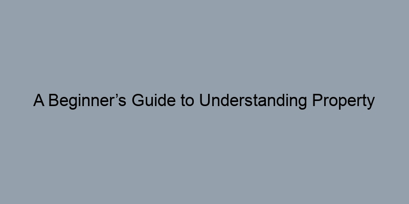 A Beginner’s Guide to Understanding Property Tax Records