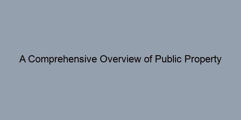 A Comprehensive Overview of Public Property Records in the U.S.