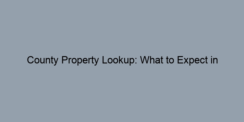 County Property Lookup: What to Expect in Different States