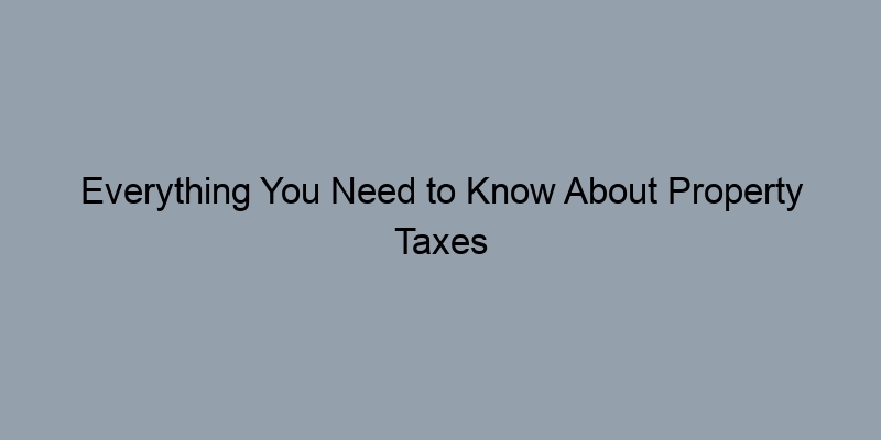 Everything You Need to Know About Property Taxes in Public Records Everything You Need to Know About Property Taxes in Public Records