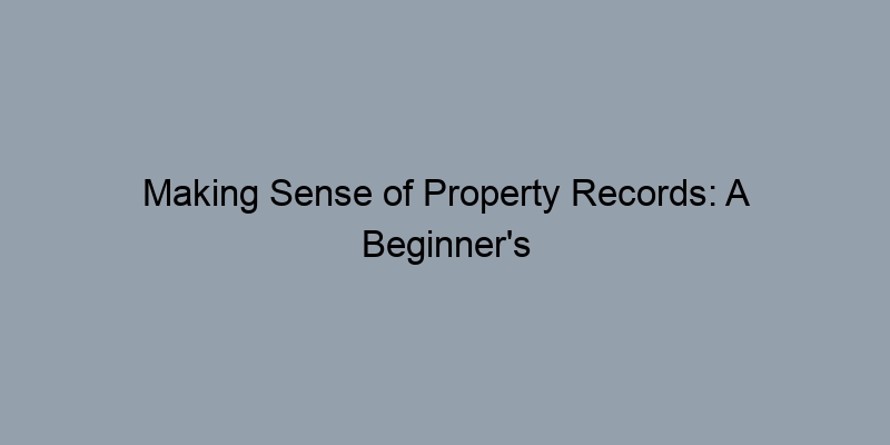 Making Sense of Property Records: A Beginner's Guide to County Lookup Making Sense of Property Records: A Beginner's Guide to County Lookup