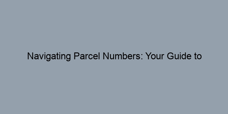 Navigating Parcel Numbers: Your Guide to Efficient Property History Searches Navigating Parcel Numbers: Your Guide to Efficient Property History Searches