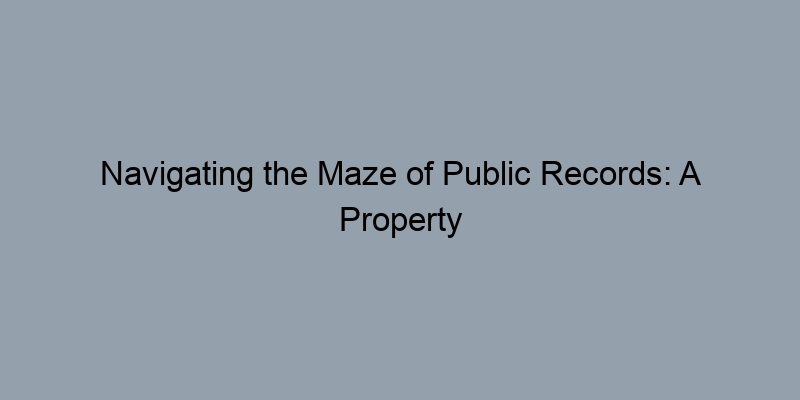 Navigating the Maze of Public Records: A Property Owner's Handbook Navigating the Maze of Public Records: A Property Owner's Handbook
