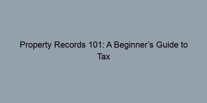 Property Records 101: A Beginner’s Guide to Tax Assessor Parcel Searches Property Records 101: A Beginner’s Guide to Tax Assessor Parcel Searches