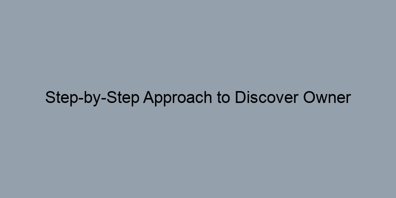 Step-by-Step Approach to Discover Owner Information by Address