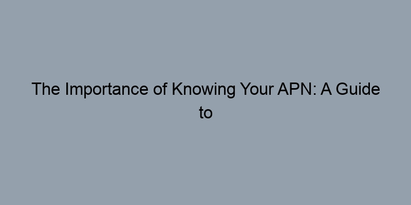 The Importance of Knowing Your APN: A Guide to Property Record Searches