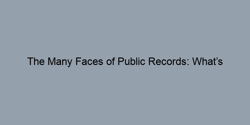 The Many Faces of Public Records: What’s Included in a Property Search? The Many Faces of Public Records: What’s Included in a Property Search?