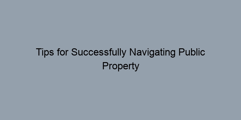 Tips for Successfully Navigating Public Property Records Online Tips for Successfully Navigating Public Property Records Online