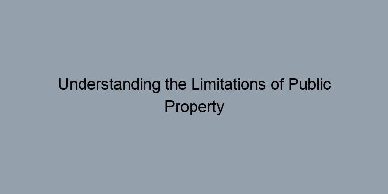 Understanding the Limitations of Public Property Records Access Understanding the Limitations of Public Property Records Access