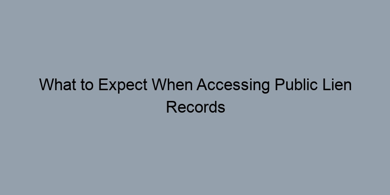 What to Expect When Accessing Public Lien Records Online