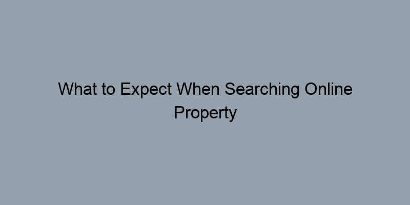 What to Expect When Searching Online Property Records: Key Information Revealed